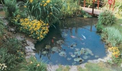 Todo lo que debes saber para construir un estanque artificial en casa