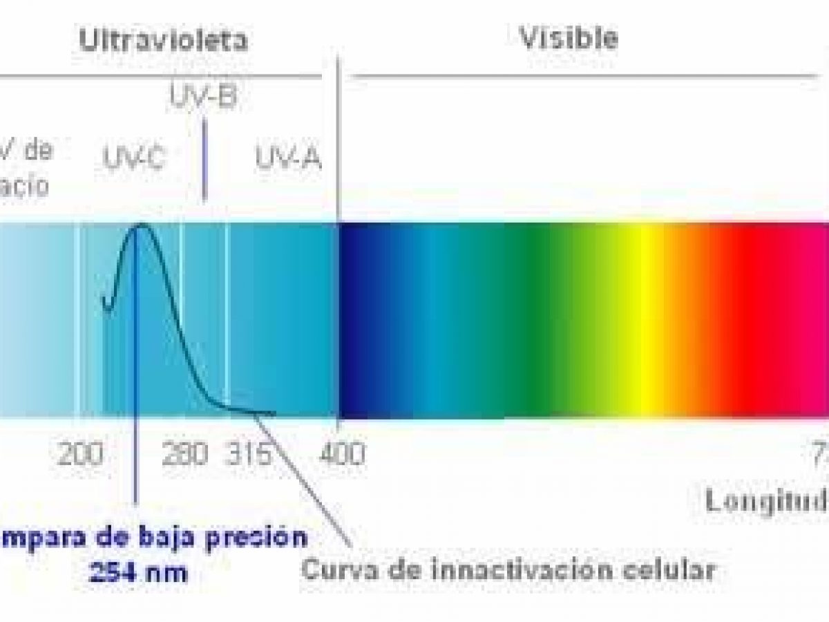 Qué es la luz ultravioleta y para qué sirve en casa