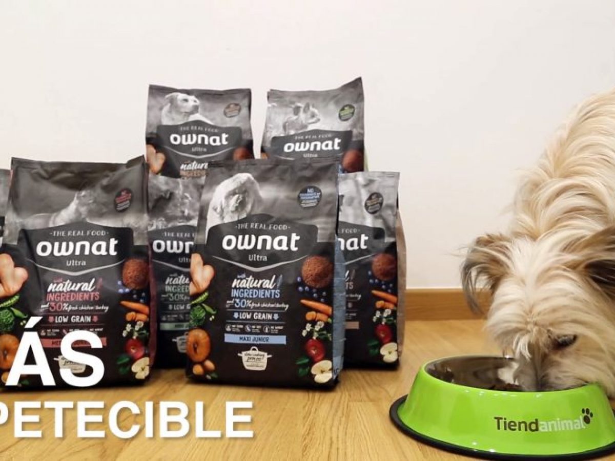 Nueva oferta de Ownat Classic para abordar las alergias alimentarias en  perros