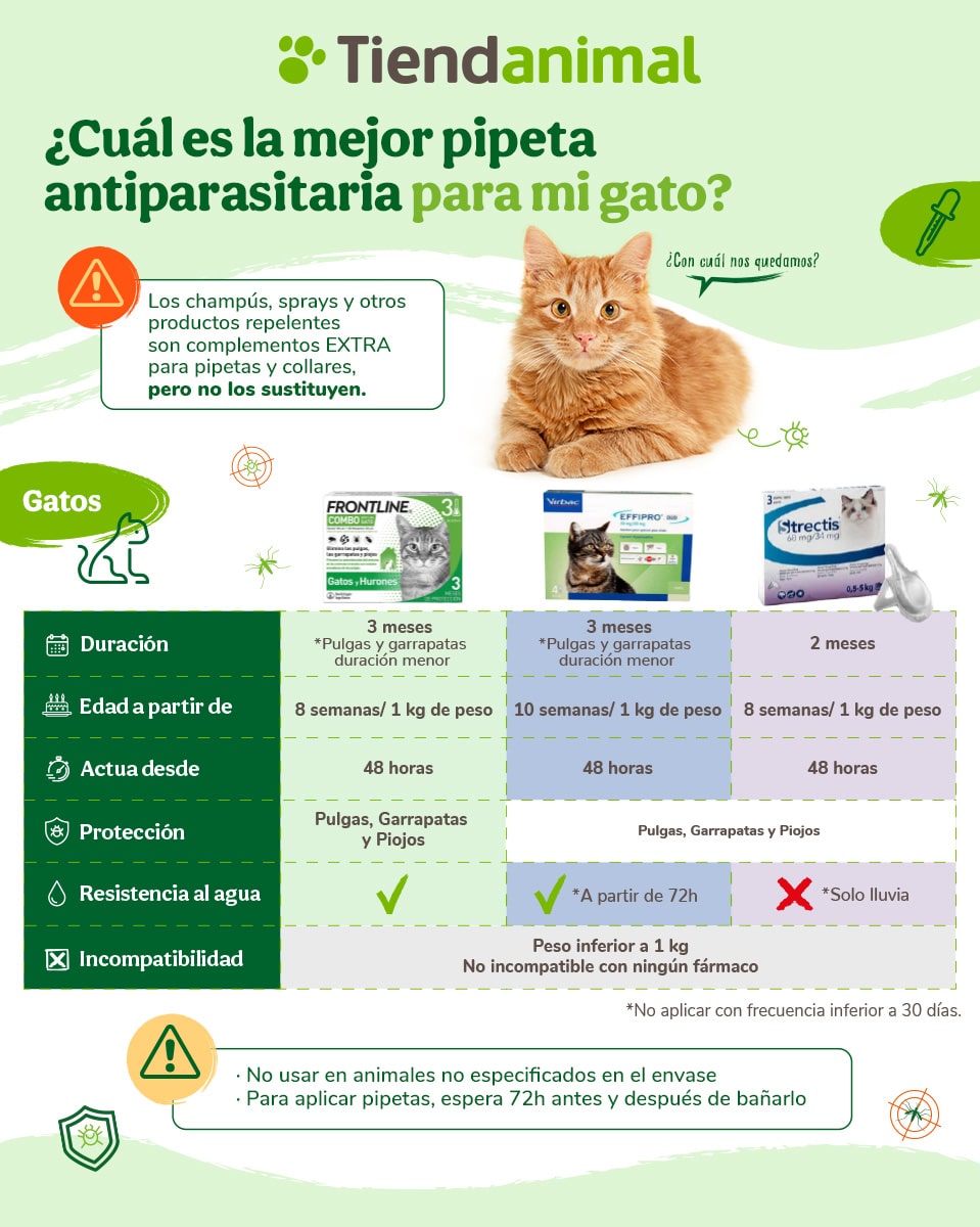 🥇 El Mejor Ahuyentador de Gatos【Tu Web Especializada ®】