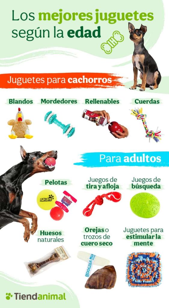 Beneficios de los Juguetes Interactivos para Perros