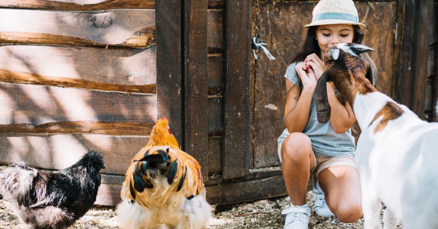 actividades para niños para trabajar el respeto a los animales