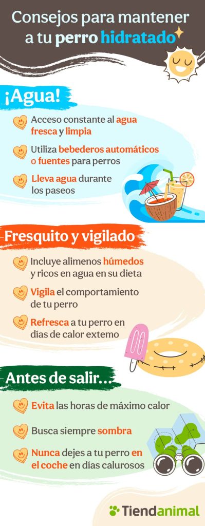 Tips para mantener hidratado a tu perro