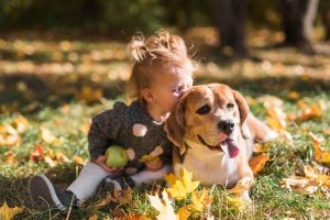 Consejos y actividades para enseñar amor y respeto por los animales a los niños