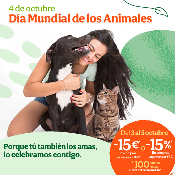 Dia mundial de los animales promoción