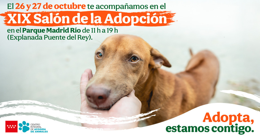 Tiendanimal adopción