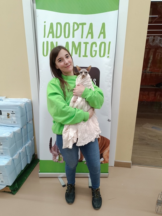 Adopción de gatita Cleo