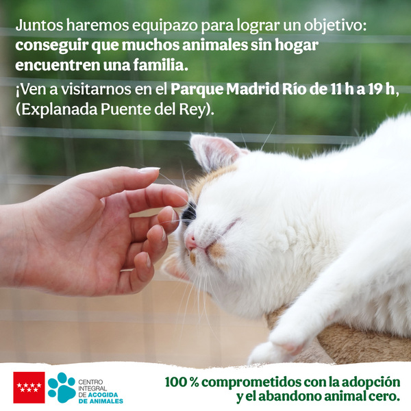 Adoptar perros y gatos Tiendanimal