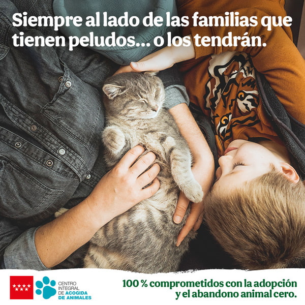 Adopciones Tiendanimal