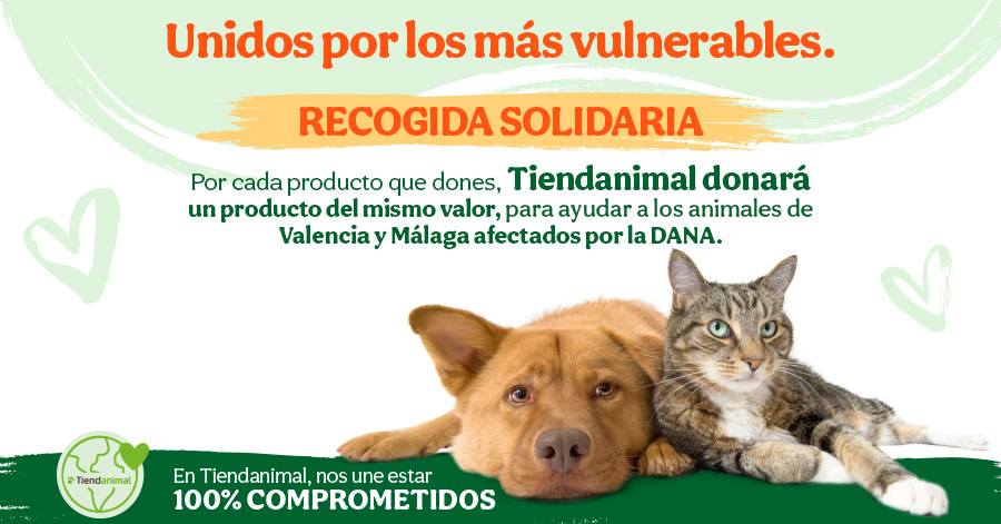 Donaciones para ayudar a los animales y protectoras afectados por la DANA en Valencia y Málaga