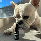 CALMA CBD para Perros | Aceite de CBD, , large image number null