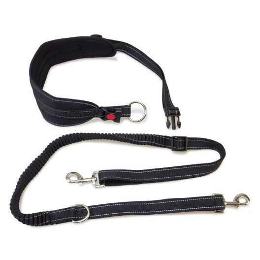 Cinturón con correa para perros color Negro, , large image number null