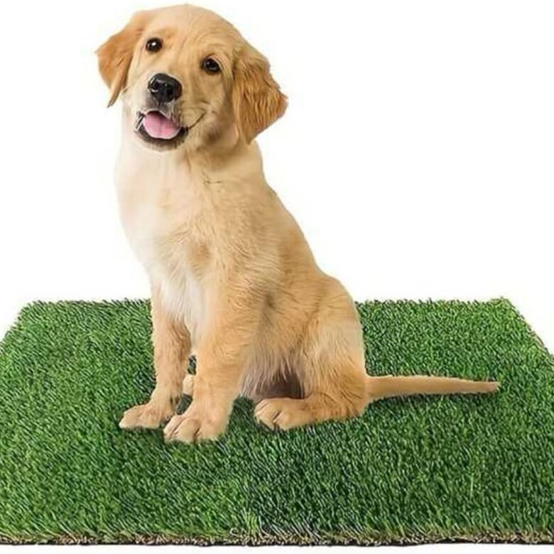 EMPAPADOR REUTILIZABLE ALFOMBRA ENTRENAMIENTO PIPI PARA PERRO CÉSPED ARTIFICIAL PETPLUS, , large image number null