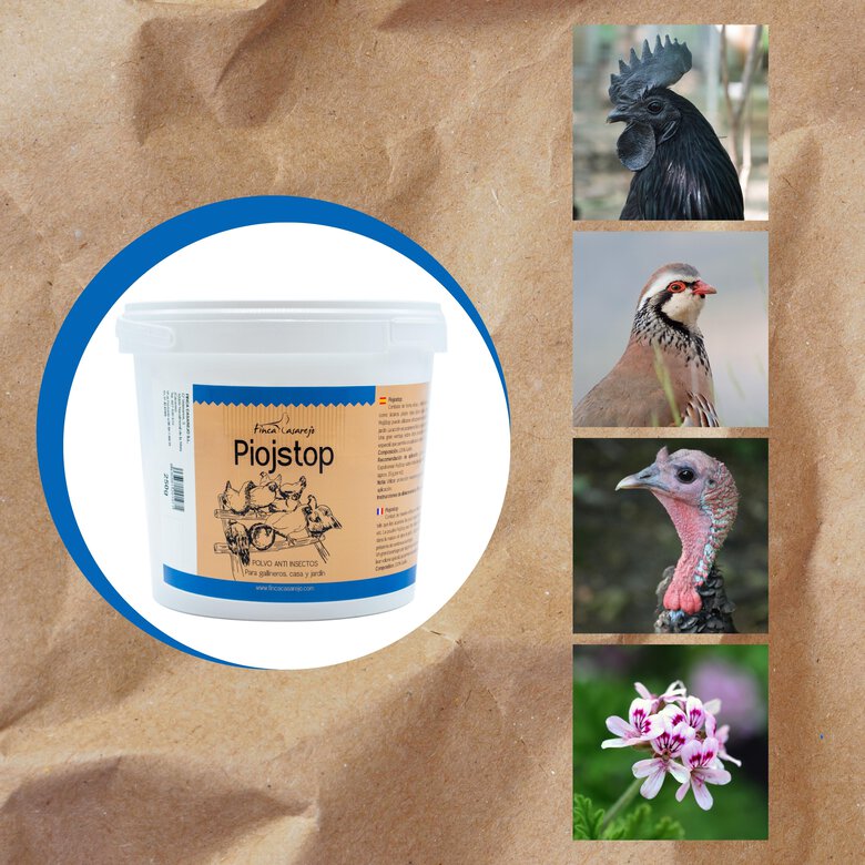 Polvo de Gurlite | PIOJSTOP 250 g | Repelente Natural de los Parásitos Externos en Gallinero, Perrera y Jardines | Producto Mineral Eficaz Contra los Piojos, Garrapatas y Ácaros de las Aves de Corral, , large image number null