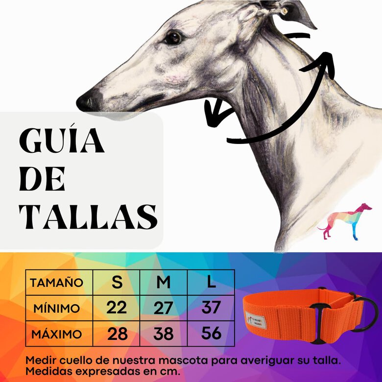 EL GALGUITO VALIENTE Collar Martingale para galgo hecho a mano en España, , large image number null