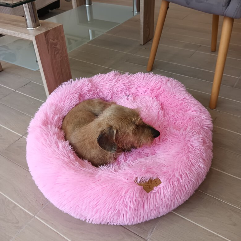 Cama donut Golden 22k para gatos y perros pequeños (diámetro 60cm), , large image number null