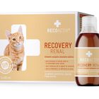 Recoactiv Recovery Renal Tónico suplemento para gatos mayores con problemas renales , , large image number null