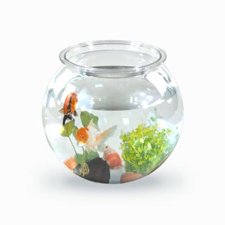 Mobiclinic Pecera transparente PET ecológico para Peces pequeños