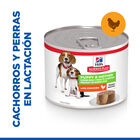 Hill's Science Plan Puppy&Mother Mousse de Pollo lata para perros, , large image number null