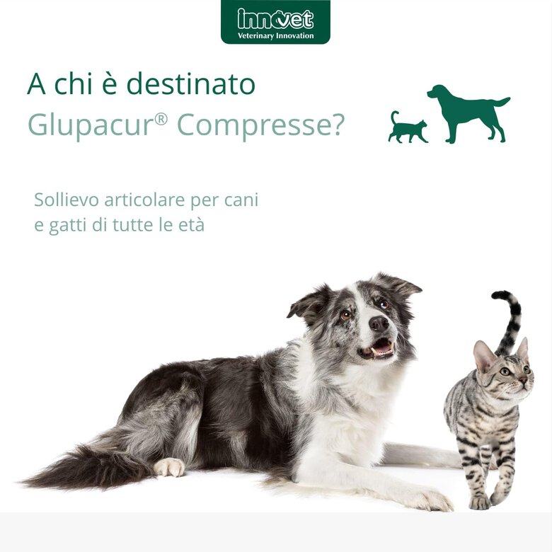 Innovet Glupacur Apoyo del matabolismo articular para mascotas, , large image number null