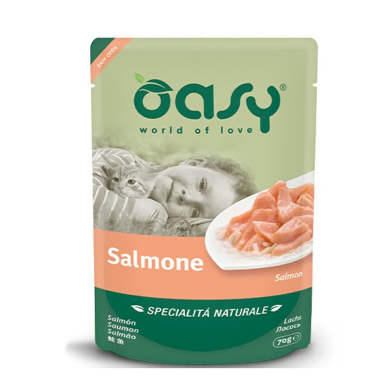 OASY GATO JELLY POUCH 70G SALMON, , large image number null