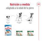 Royal Canin Mini 8+ Ageing lata para perros, , large image number null