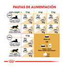 Royal Canin Adult Siamese pienso para gatos7 image number null