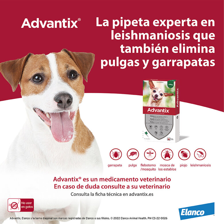 canal Apariencia Novia Advantix Pipetas triple protección antiparasitaria para perros | Tiendanimal