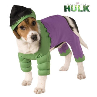 Rubie's Disfraz  Hulk con gorro para perros