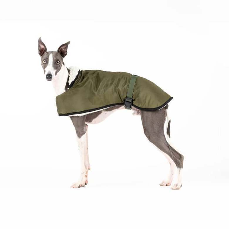 CandyPet Abrigo Impermeable para el frío y la lluvia para perros, , large image number null