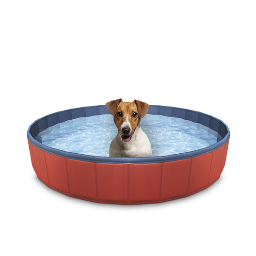 Las mejores piscinas para perros  Escaparate: compras y ofertas