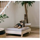 Micupets big koda cama personalizada madera para perros, , large image number null