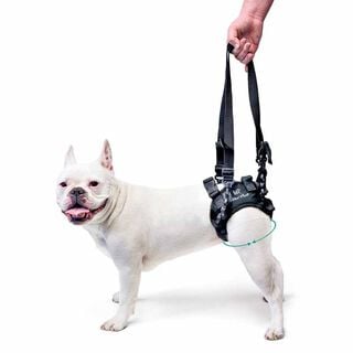 Ortocanis Arnés Compatible para posteriores para perros