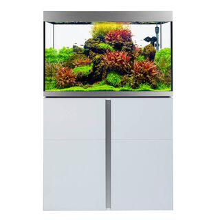 Fluval Acuario Kit Fluval Siena de 332 litros color Blanco 