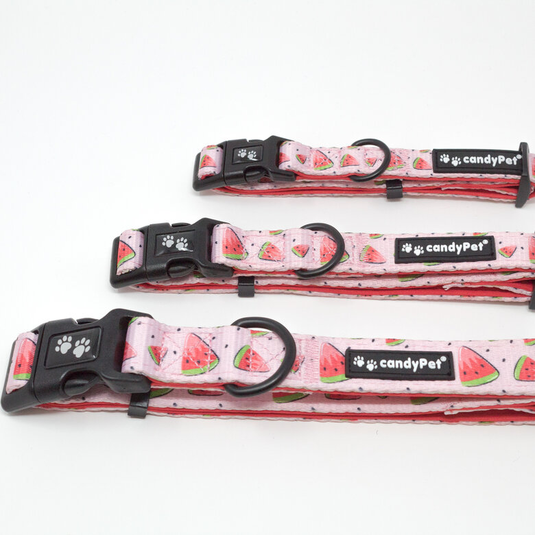 CandyPet Collar Click Watermelon Nylon para perros, , large image number null