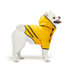 Nobleza Chubasquero Impermeable amarillo con Capucha para perros, , large image number null