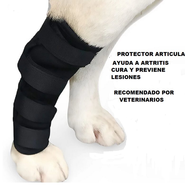 Doggarage Protector Articular Delantero para perros, , large image number null