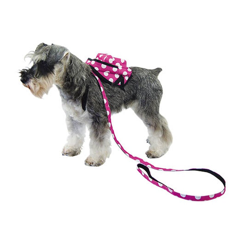 Mochila para perros pequeños MOCHILA LUNARES ROSA, , large image number null