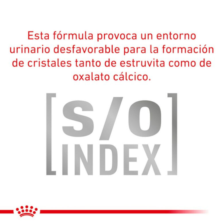 410 g Royal Canin Veterinary Sensitivity Control Mousse de Pollo y Arroz lata para perros, , large image number null