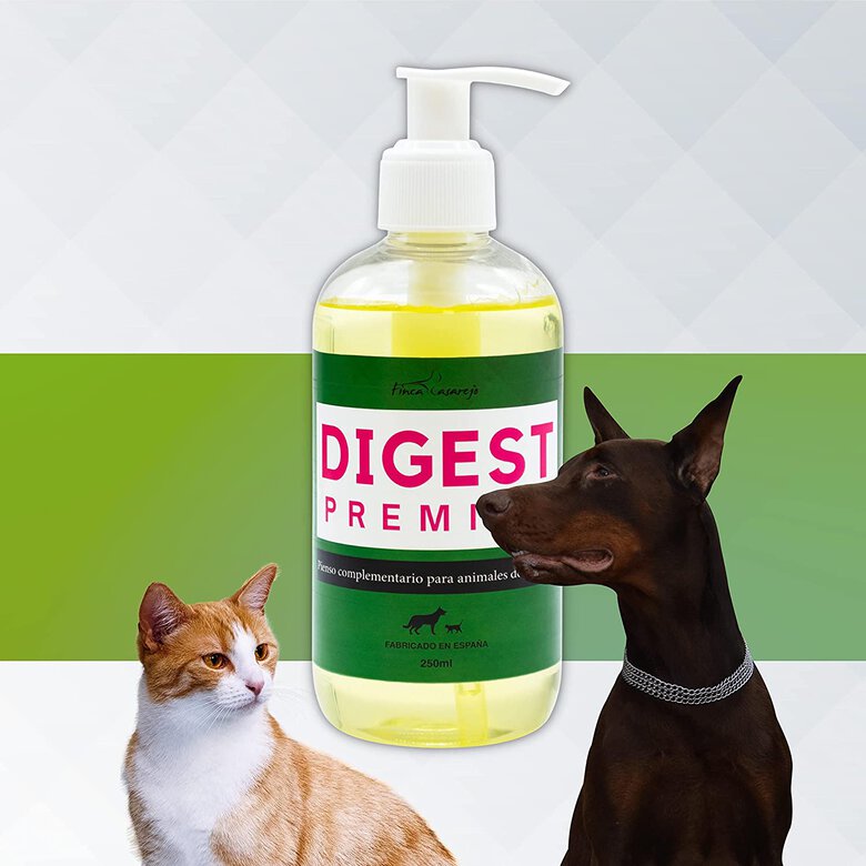 Aceite Prebiótico para Mascotas – DIGEST PREMIUM 250ml - Suplemento Nutricional de Levadura de Cerveza y Achicoria - Mejora la Salud Intestinal de Perros y Gatos – Botella con Dispensador, , large image number null