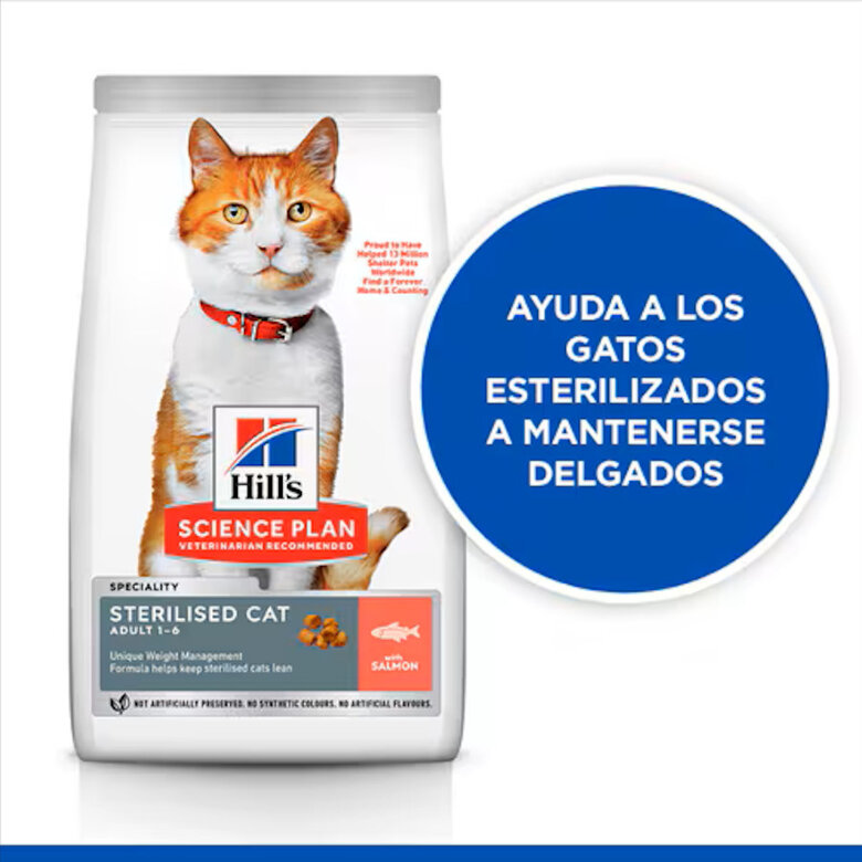 Hill's Science Plan Sterilised Adult Salmón pienso para gatos, , large image number null