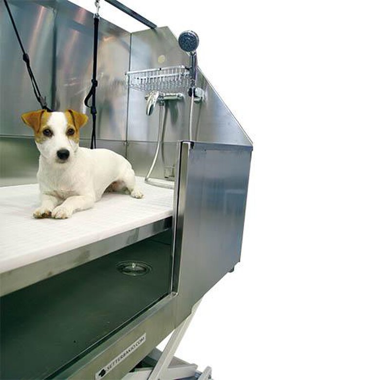 Bañera para perros apta para peluquerías caninas Ibáñez Eléctrica Basculante Acero Inox Niágara con Puerta, , large image number null