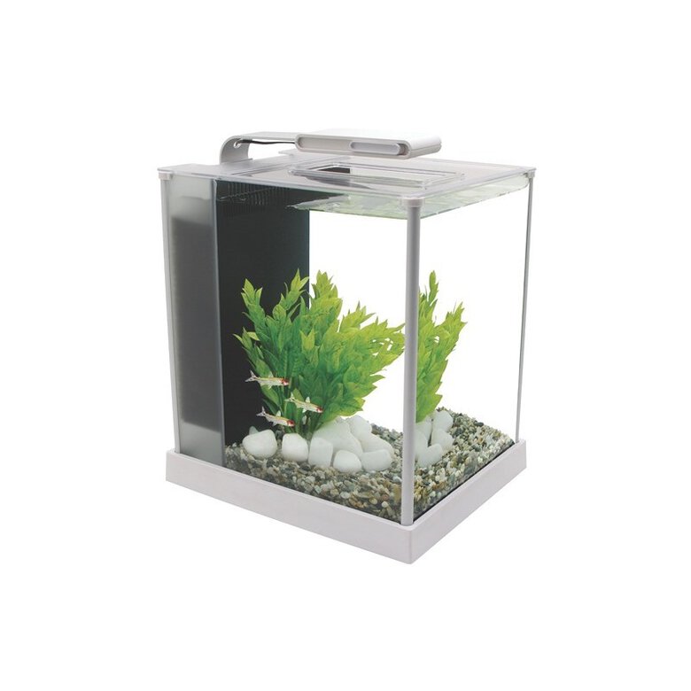 Fluval Spec Nano Acuario Blanco, 10L, , large image number null