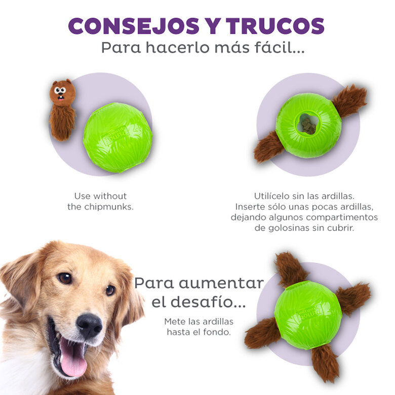 Outward Hound Nina Ottosson Snuffle n’ Treat Pelota Interactiva Portagolosinas para perros, , large image number null