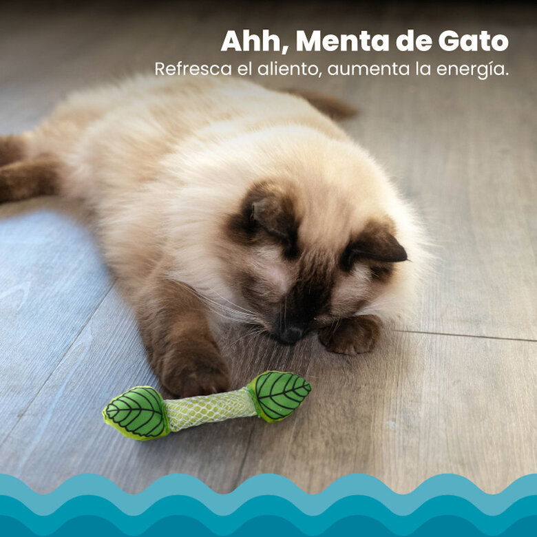 Outward Hound Catstages Fresh Breath Stick Peluche Dental con Menta para gatos, , large image number null