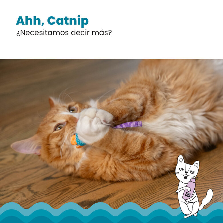 Outward Hound Catstages Chew Ratón con Catnip para gatos, , large image number null