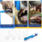 Nobleza - Cepillo de Dientes para Perros, 1 Cepillos de Dientes de Perro de 360 Grados, Kit de Cepillo de Dientes para Dedos(paquete de 10), Para Limpiar Los Dientes de Perros y Gatos, , large image number null