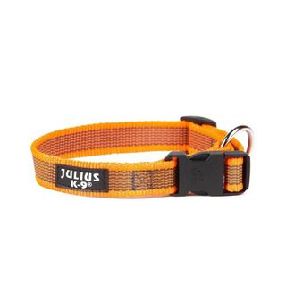 Collar Julius K9 para perros color Naranja