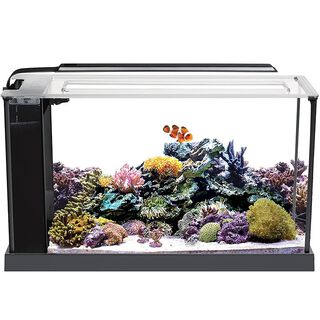 Fluval Evo Acuario Marino negro para peces