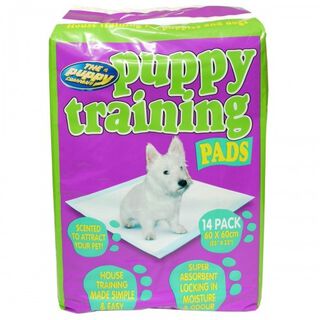 Pack de 56 empapadores para perros color Blanco